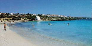 ALOJAM~2.jpg (8281 bytes)