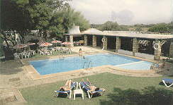 ALOJAM~3.jpg (9227 bytes)