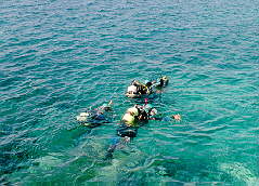 CURSOS1.jpg (13146 bytes)