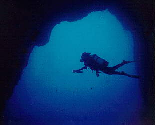 INMERS~1.jpg (7244 bytes)