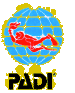 Logo Padi